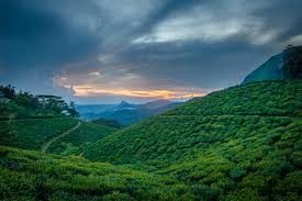 9 Nights 10 Days Incredible Kerala Tour from Cochin