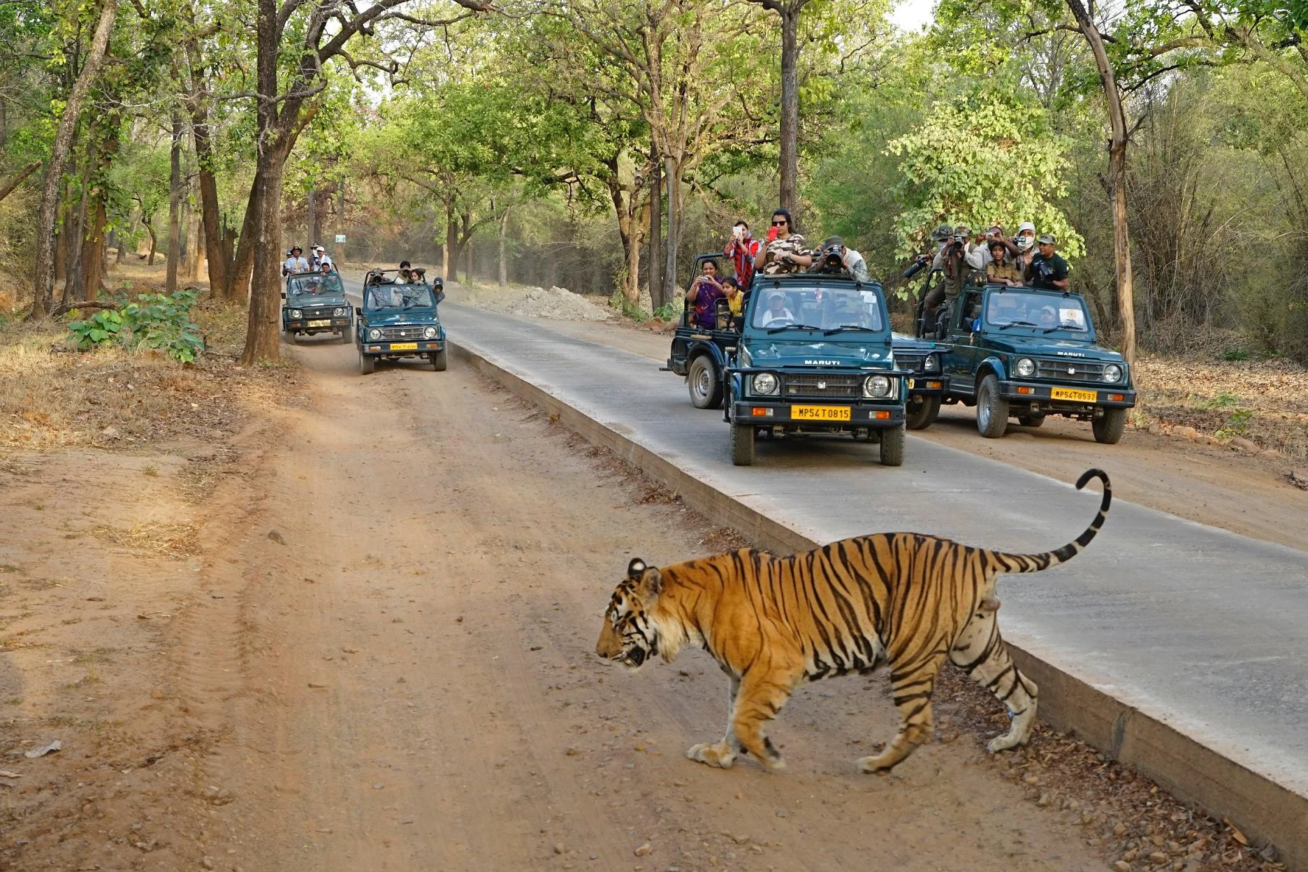 8 Days India’s Golden Triangle with Ranthambore  Group Tour