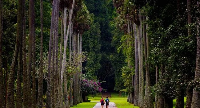 10 Nights 11 Days Sri Lanka Tour