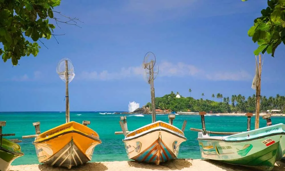 8 Days Sri Lanka Tour from Colombo