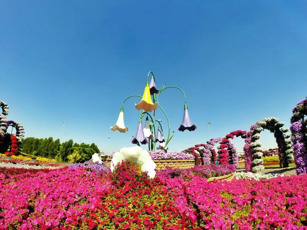 slide banner