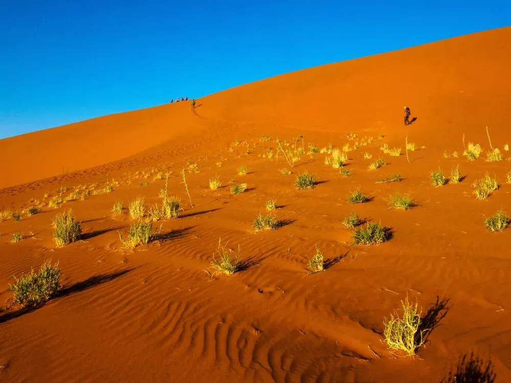 5 Night 6 Days Dubai Honeymoon trip with Luxury Hotel