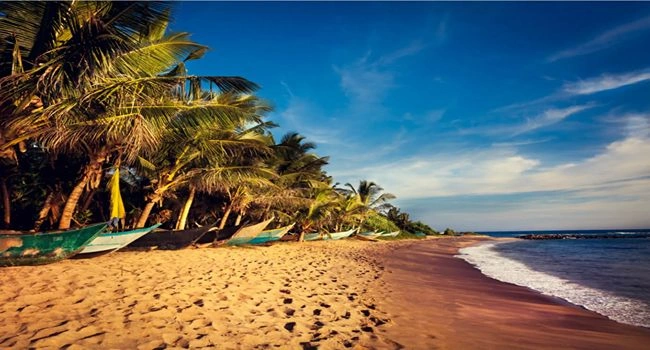 5 Nights 6 Days Sri Lanka Tour package