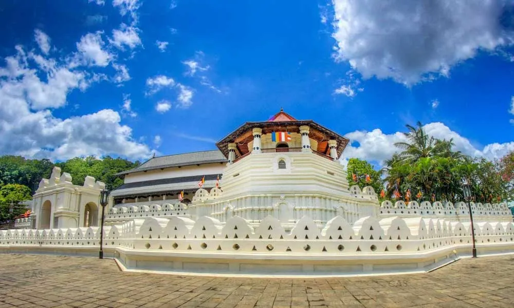 8 Days Sri Lanka Tour from Colombo