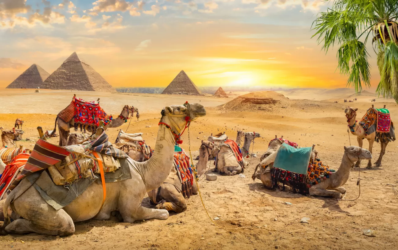 8 Days Phenomenal Egypt Tour