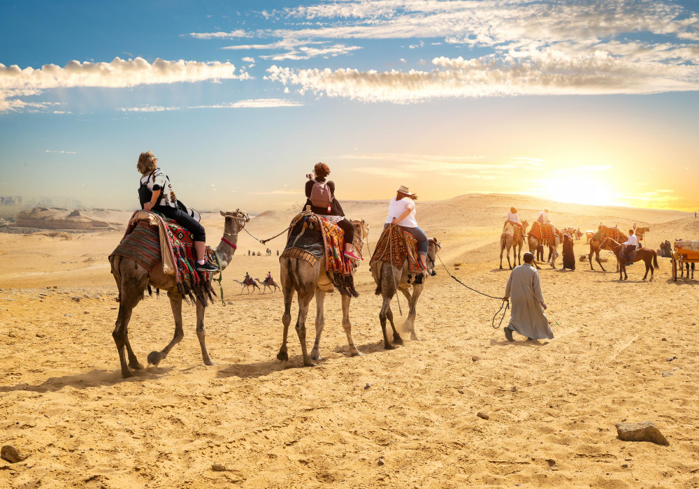 16 nights- 17 Days Rajasthan Wildlife Tours