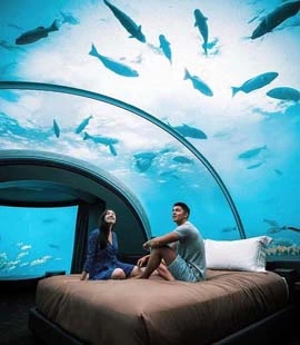 Maldives Tourism 